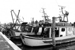 BGA5717-BN
