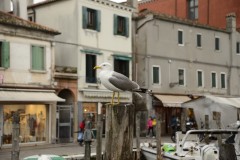 BGA5762