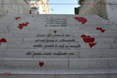 ALBEROBELLO-HD-25