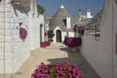 ALBEROBELLO-HD-31