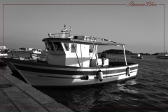 PORTOCESAREO-HD-1-BN
