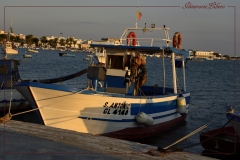 PORTOCESAREO-HD-2