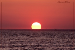 PORTOCESAREO-HD-7